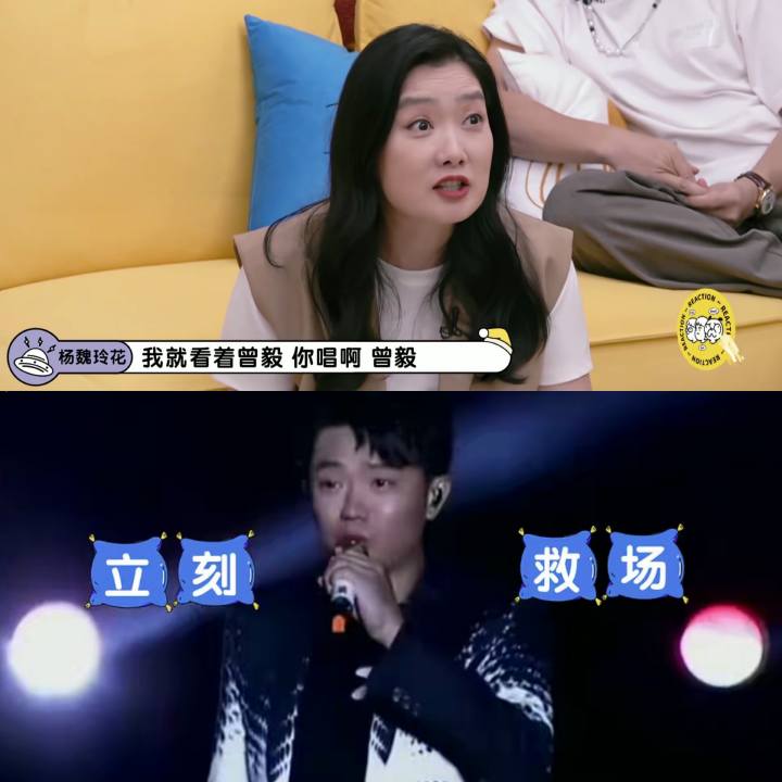 《毛雪汪》节目到底有多敢说？毛不易自曝曾与人同台“假唱”