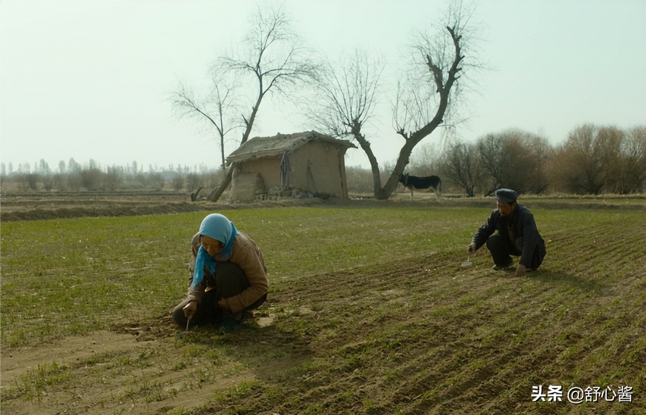 海清灰头土脸，“毁容式”出演，华语影片年度最高分