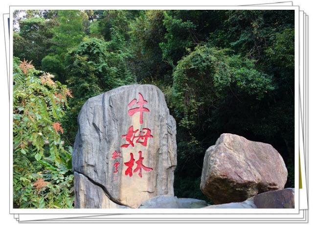 福建景点排行榜十八景（最值得打卡的景点攻略推荐）