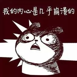 一键彻底关闭windows10和Win11自动更新