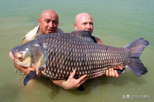 皇冠app官方版下载安装(中国)官方网站ios/安卓通用版/手机app