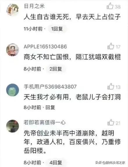 神回复：汪汪队集体病假，有事不要呼叫莱德