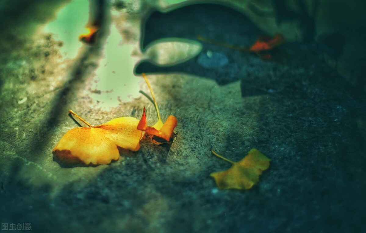 35岁的我，给18岁的自己重新做了大学规划