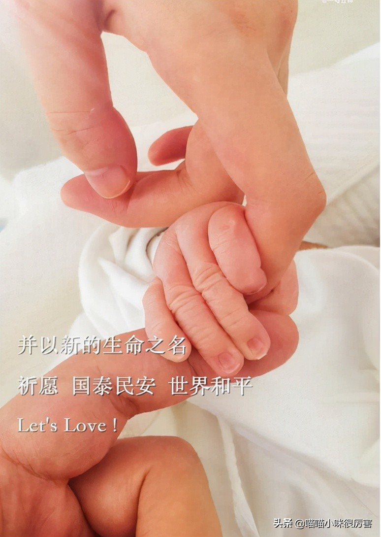 怪不得李亚鹏会娶小19岁的妻子，看了他历届的女友，就全明白了