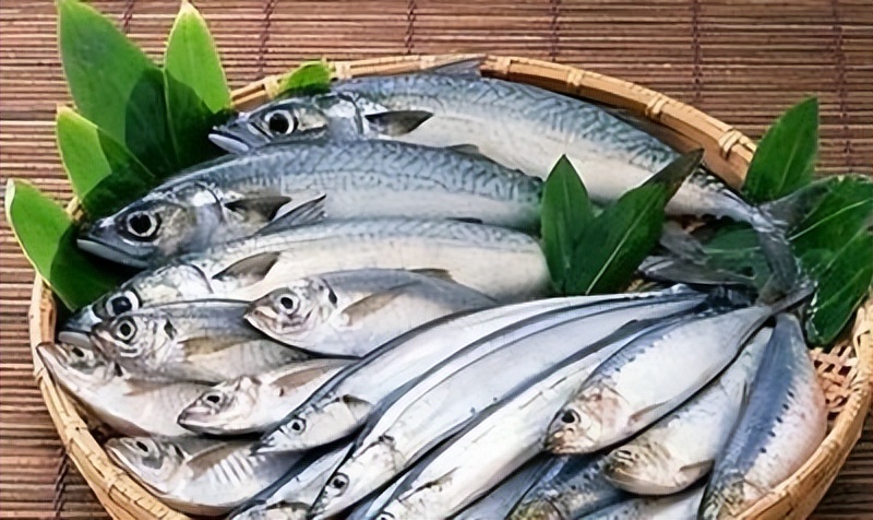 經常吃魚，對預防心腦血管疾病有幫助嗎？ 吃多少合適？