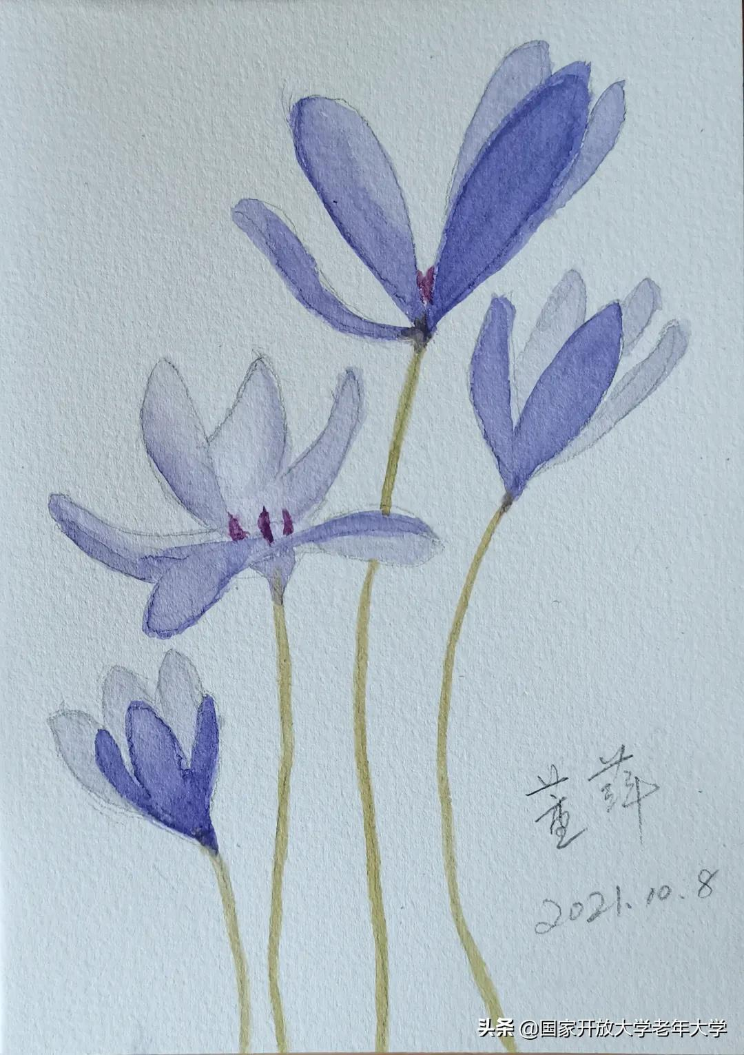 在校园·良作 | 水彩让我们的青春重新绽放——水彩画初级班学员作品