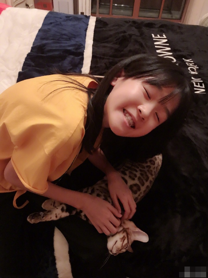 盘点明星养的猫，陆毅家的最贵，你养同款了吗？