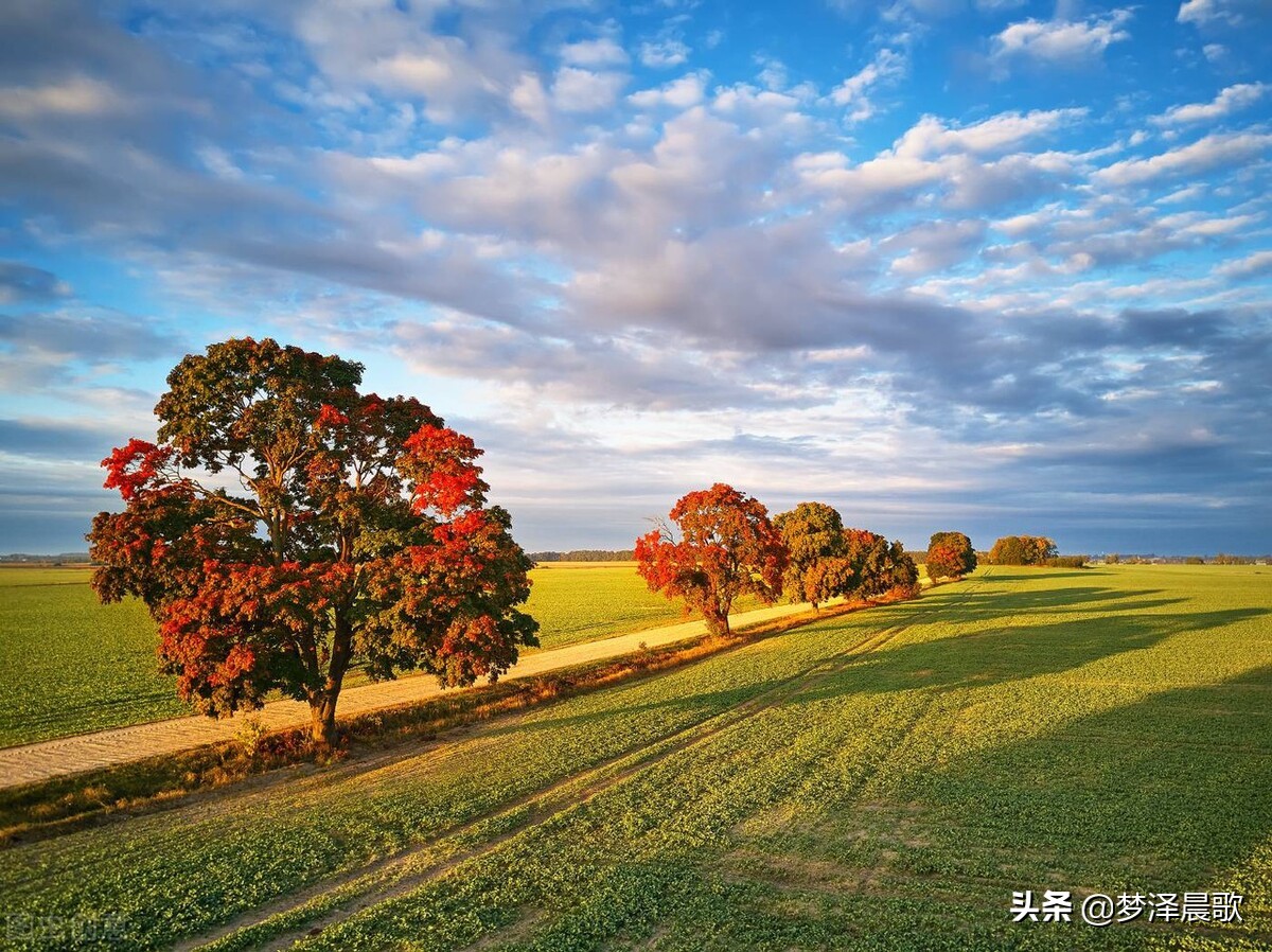 诗心梦影（湖北）：天使与恶魔