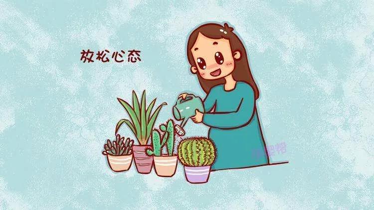 合同格式,合同格式标准