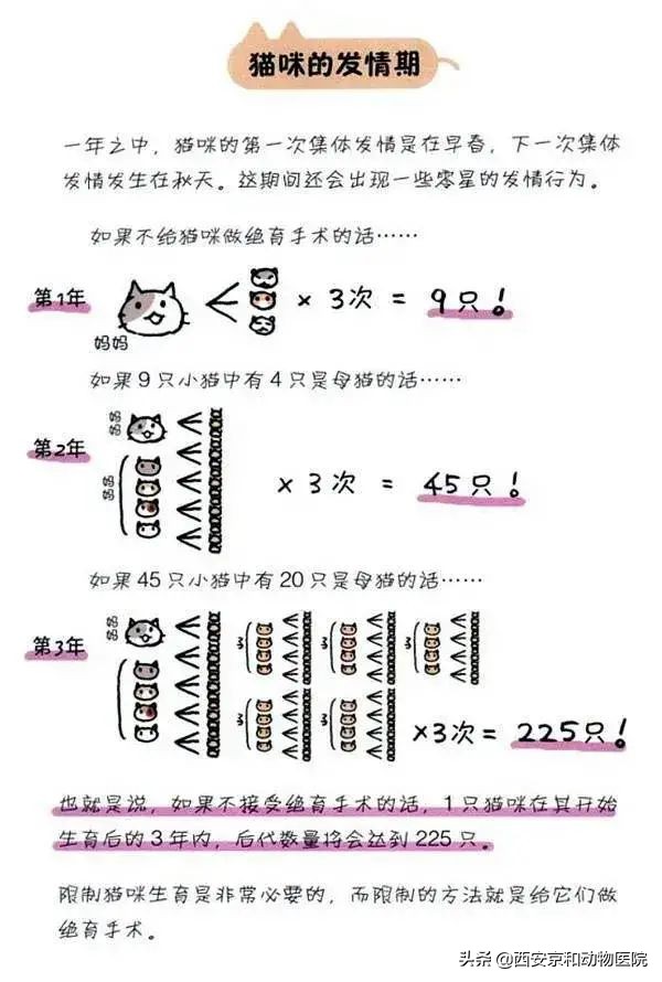 宠物医院母猫绝育价格为什么提倡宠物绝育