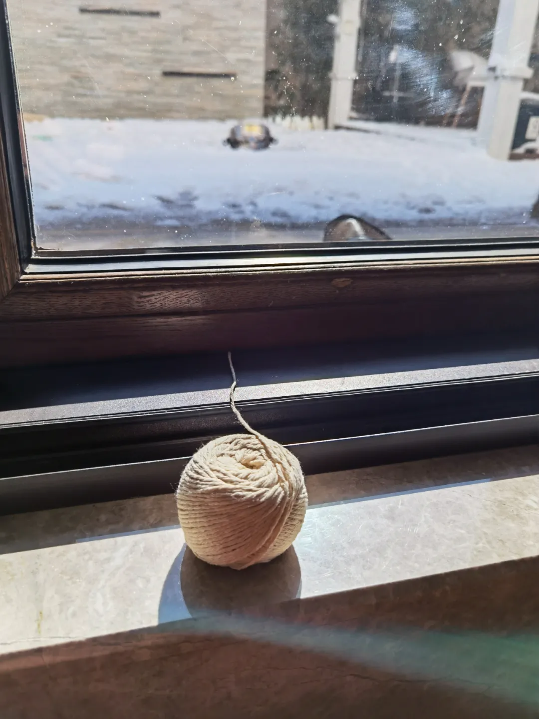 刘兴亮｜雪地里扣麻雀