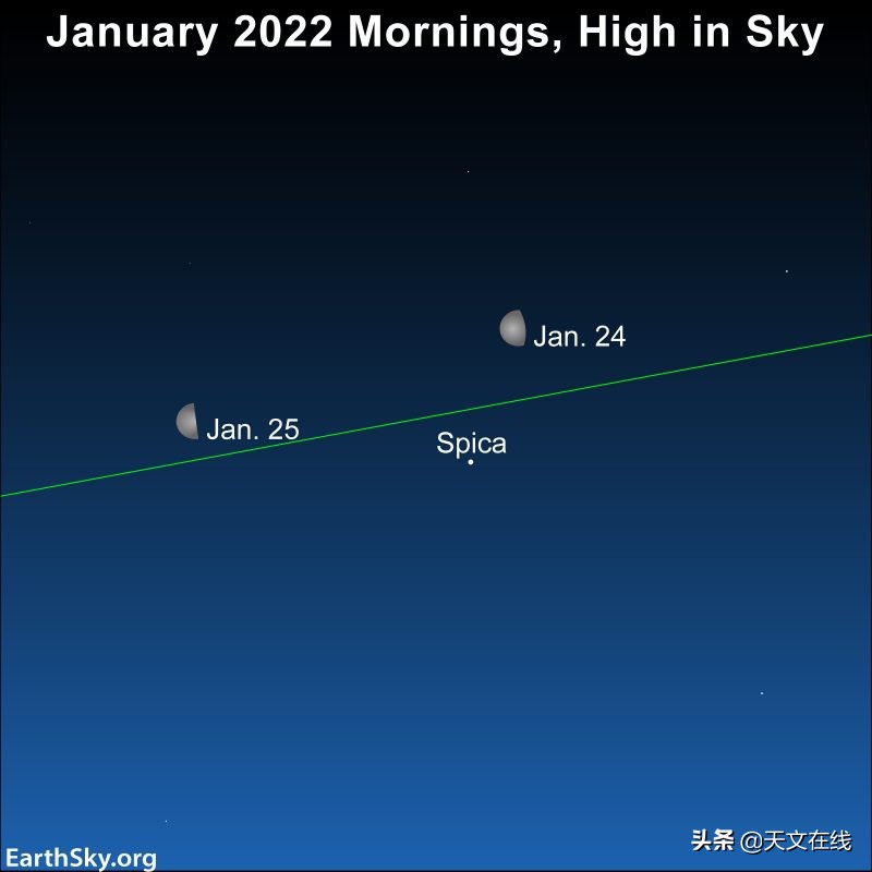 月亮旁边那个最亮的星是什么星(请定好闹钟，角宿一伴月来啦！就在本月底)