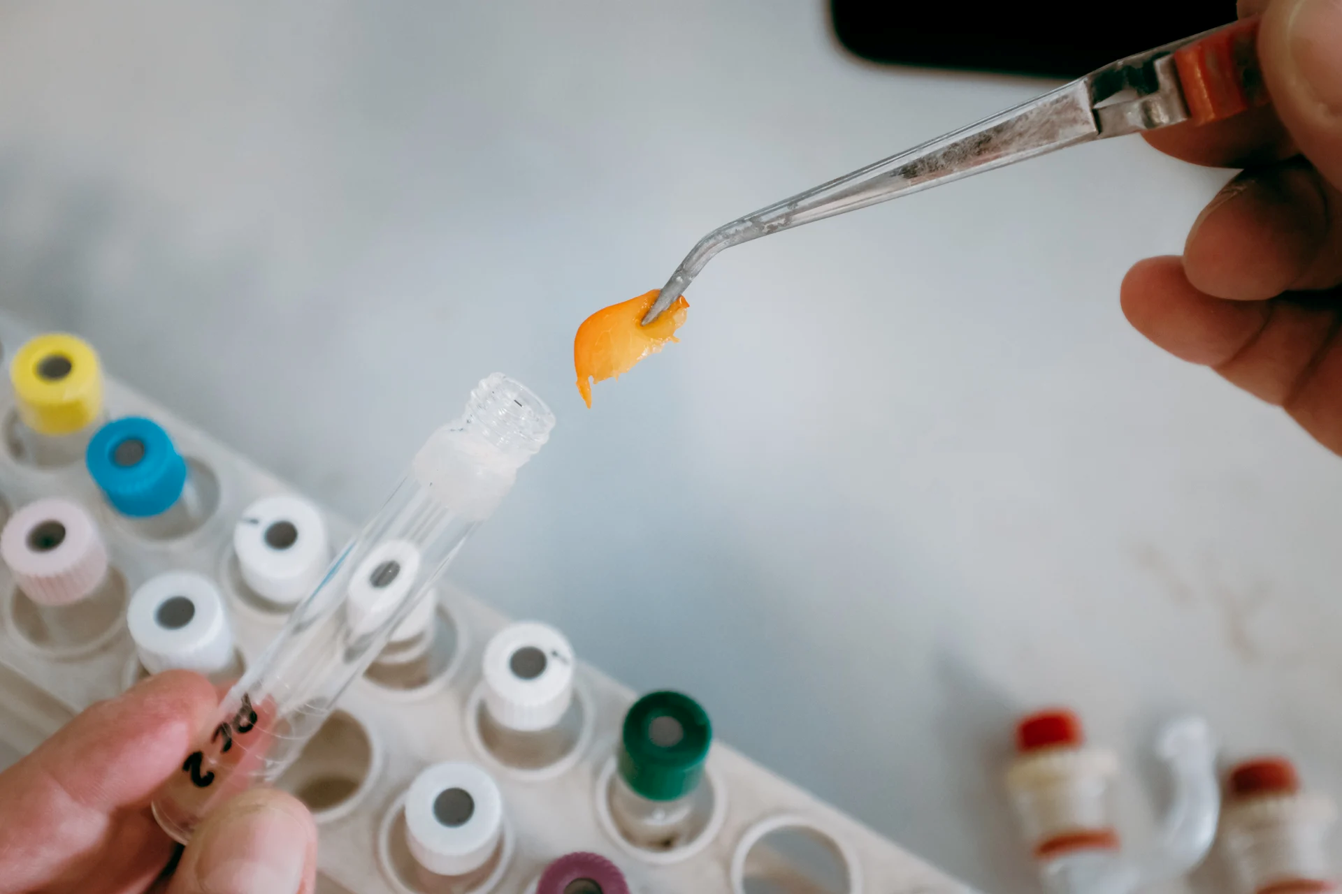 设计界的“孪生”铁饭碗？央美/LCC：社会设计真香