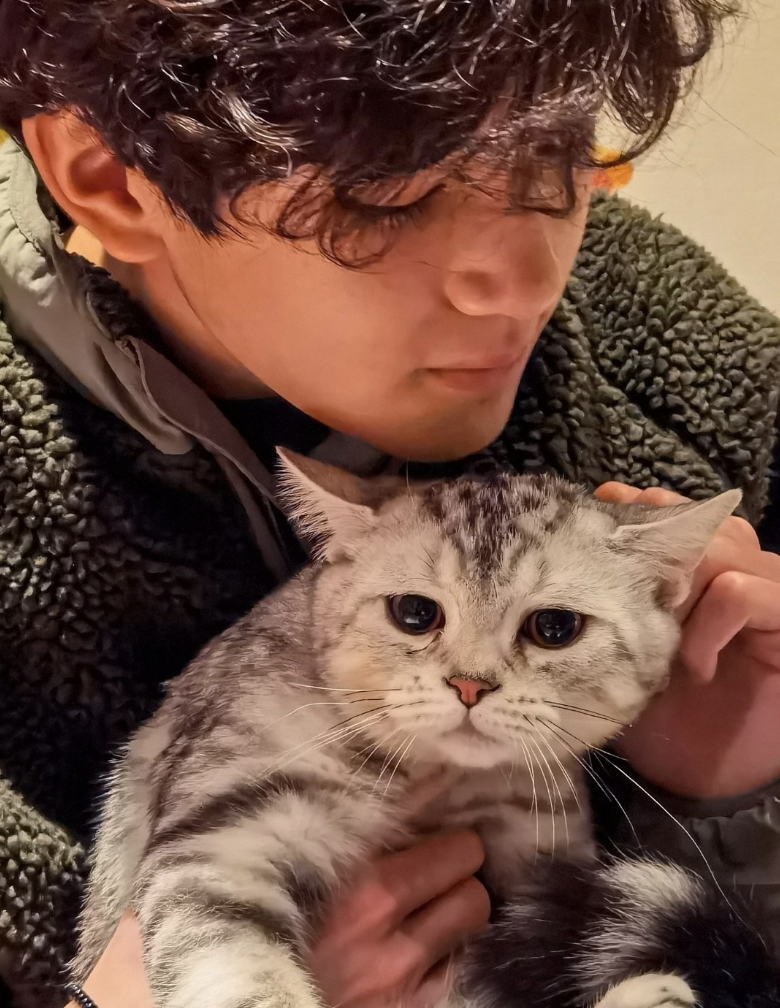 张智霖儿子晒撸猫日常，魔童眼神温柔颜值高，费曼留言梦幻联动