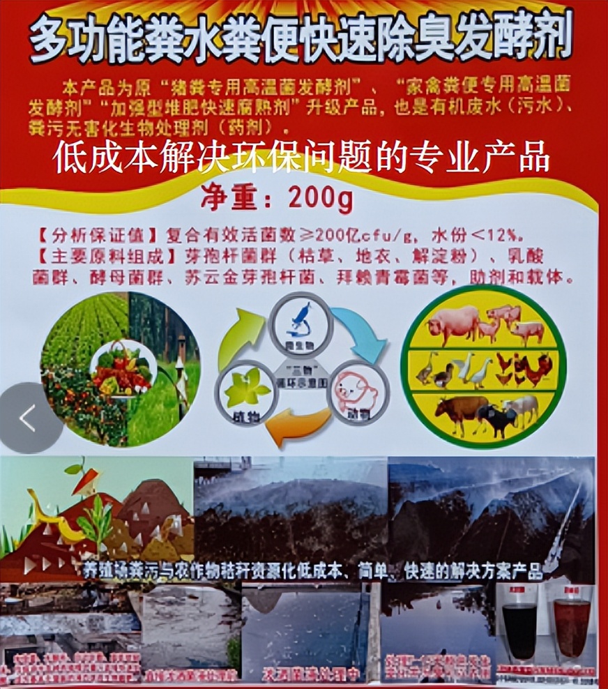 抓住盛夏季节，养好肉仔鸭