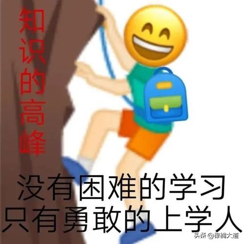 疫情持续，“不出境”留学成为新趋势？高含金量中外合办硕士盘点