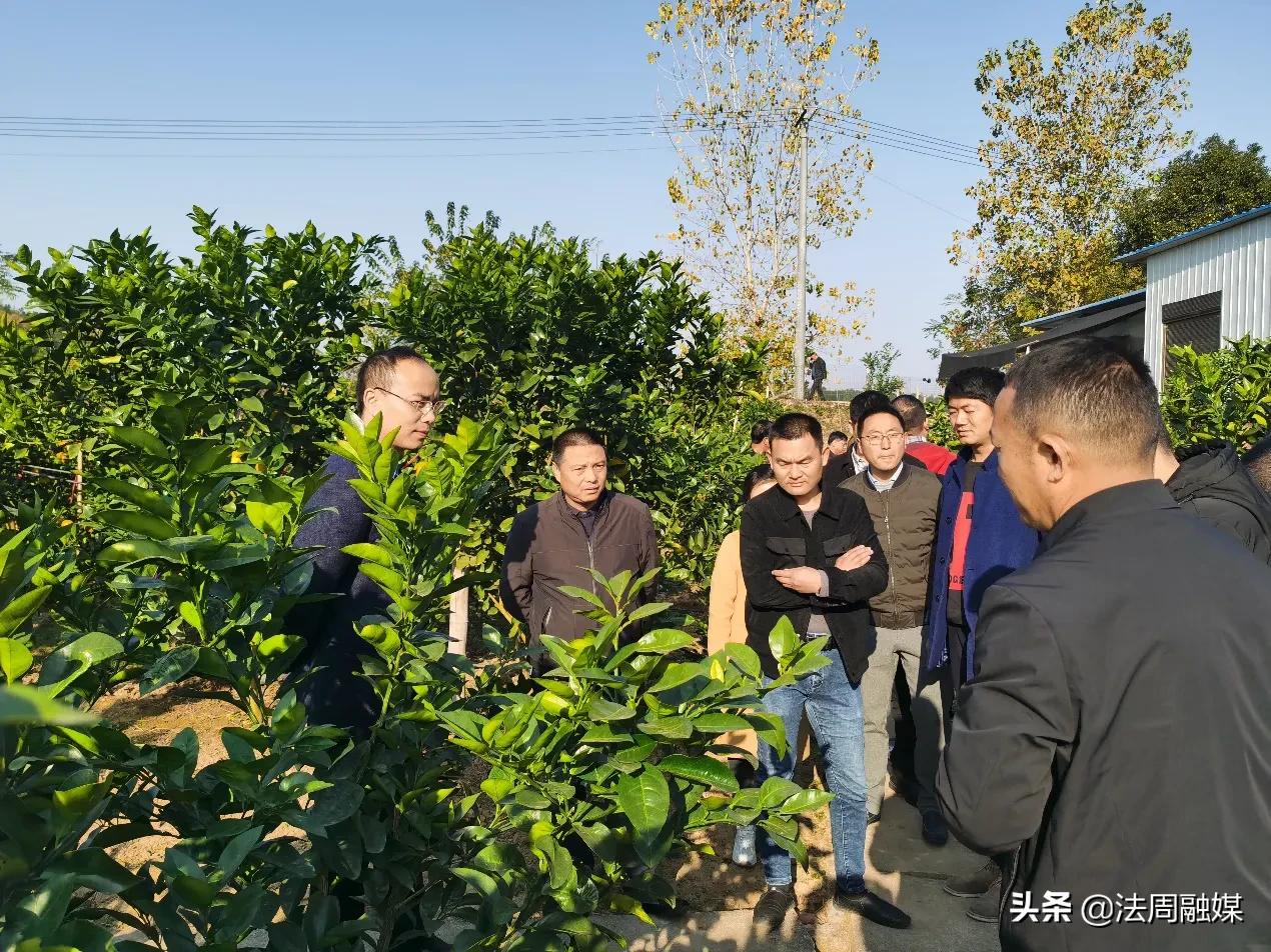 澧县城头山镇:观摩学习促进发展,乡村振兴摇旗呐喊