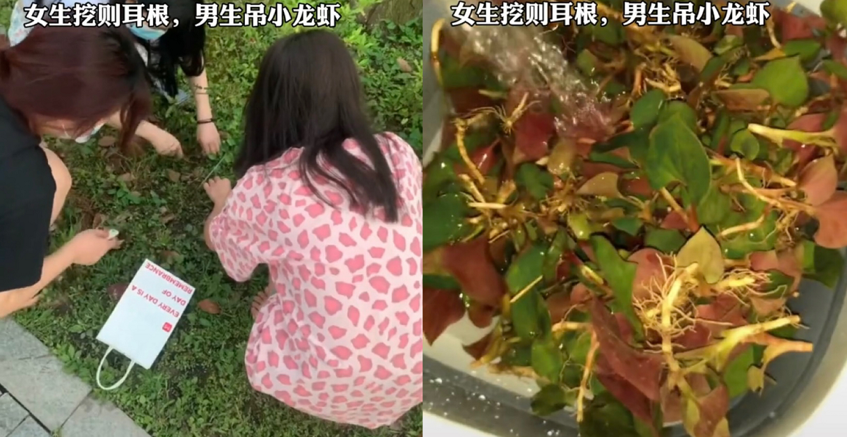 南京一高校女寝团队，制作“寝室大片”火了，网友：果然是大制作