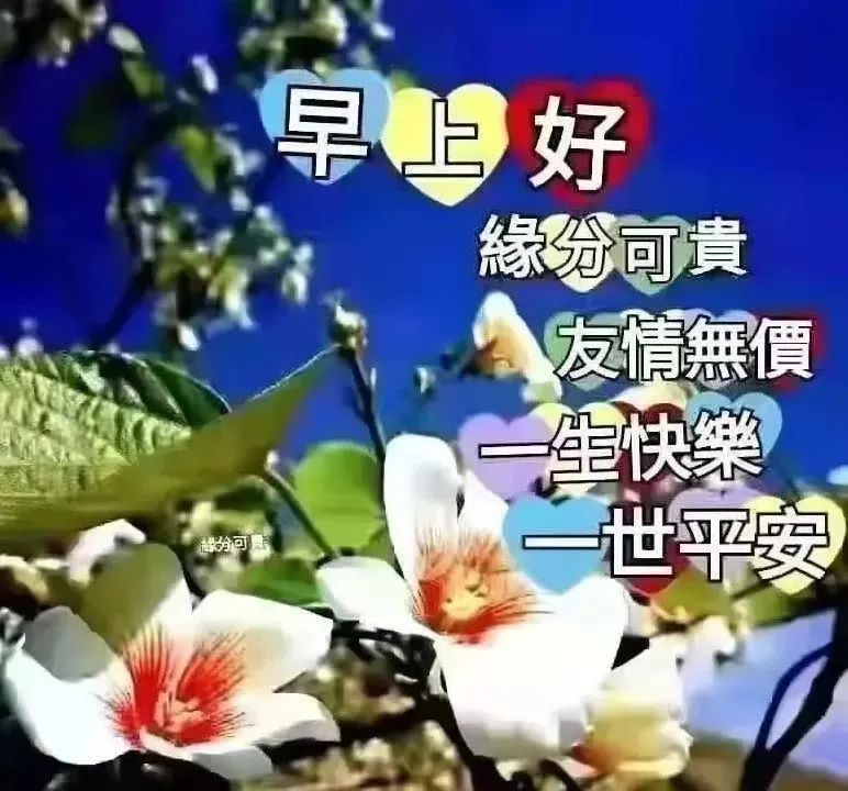 睁开迷人的双眼，看白云片片；舒展美丽的笑脸，听流水潺潺