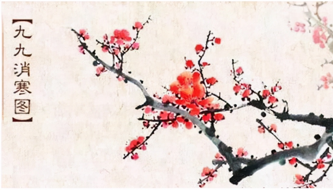 时光静谧无声，冬至悄然而至