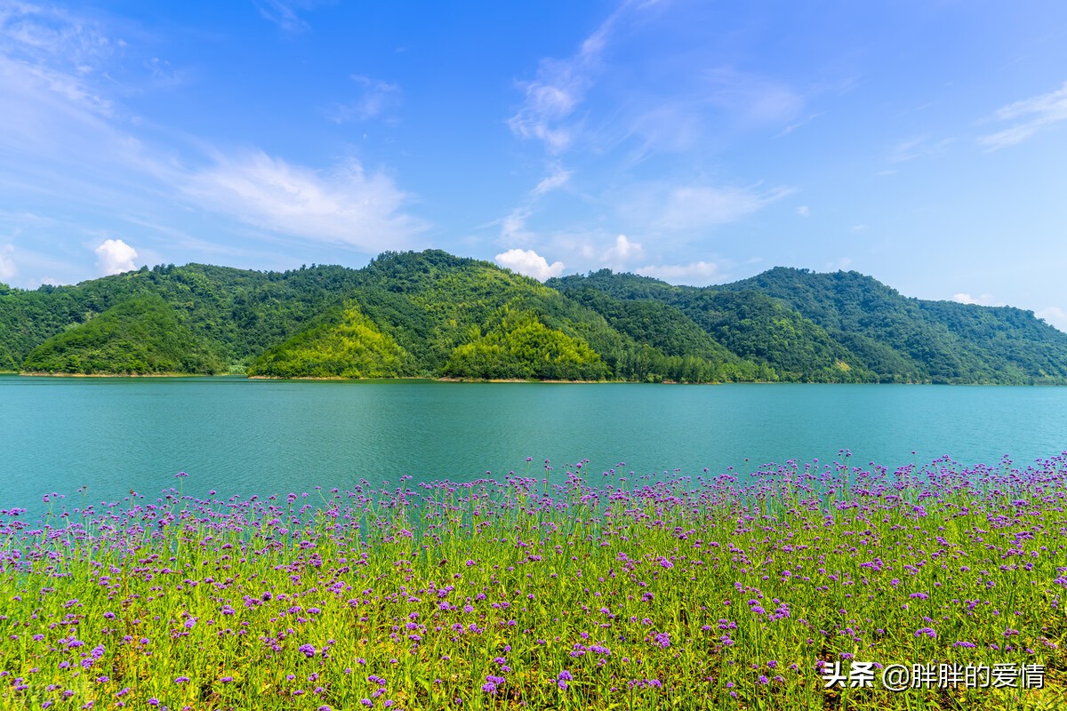 活成什么样子自己决定，人生如过客，欢欢喜喜的来，高高兴兴的走