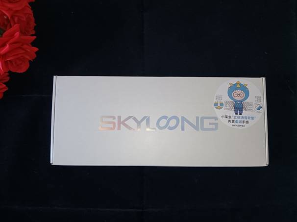每一次敲击都如同弹奏一般- SKYLOONG 小呆虫 LITE GASKET轻弹版