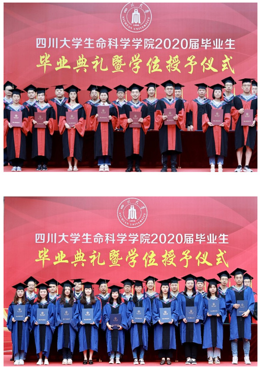 金锐砺考研丨四川大学考研656生物学专业课定向班