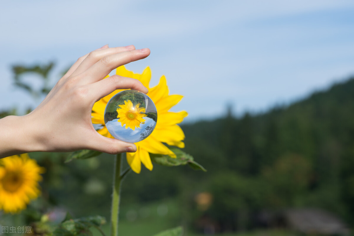内心充满阳光的励志短句，善良温和，坦荡生活