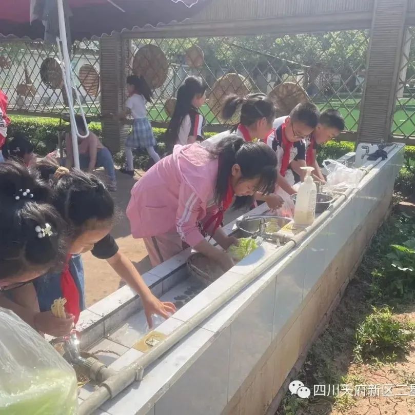 致敬最可爱的人——四川天府新区三星小学开展劳动实践周系列活动