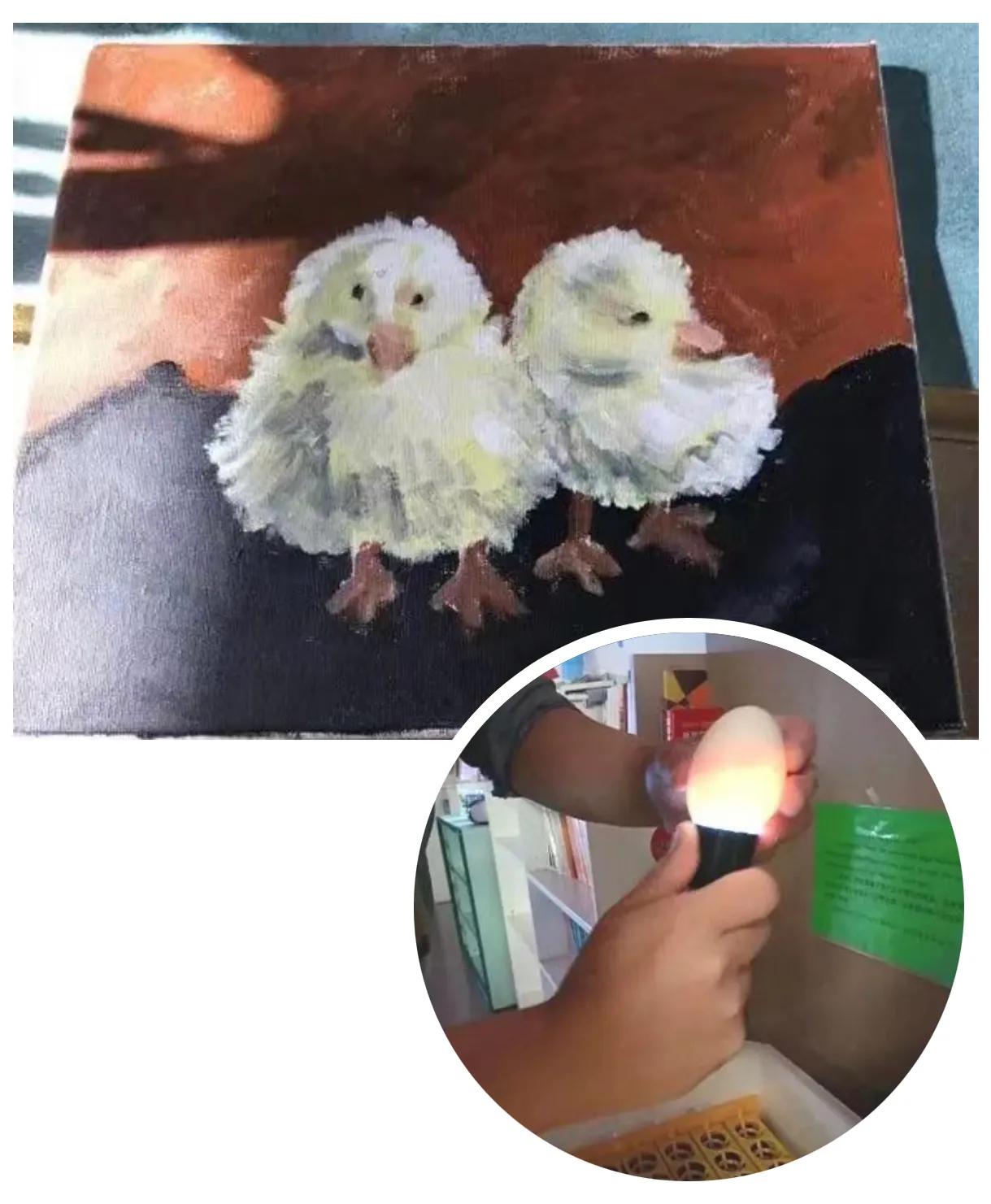 黑利伯瑞国际学校致小学初中部家长的一封信