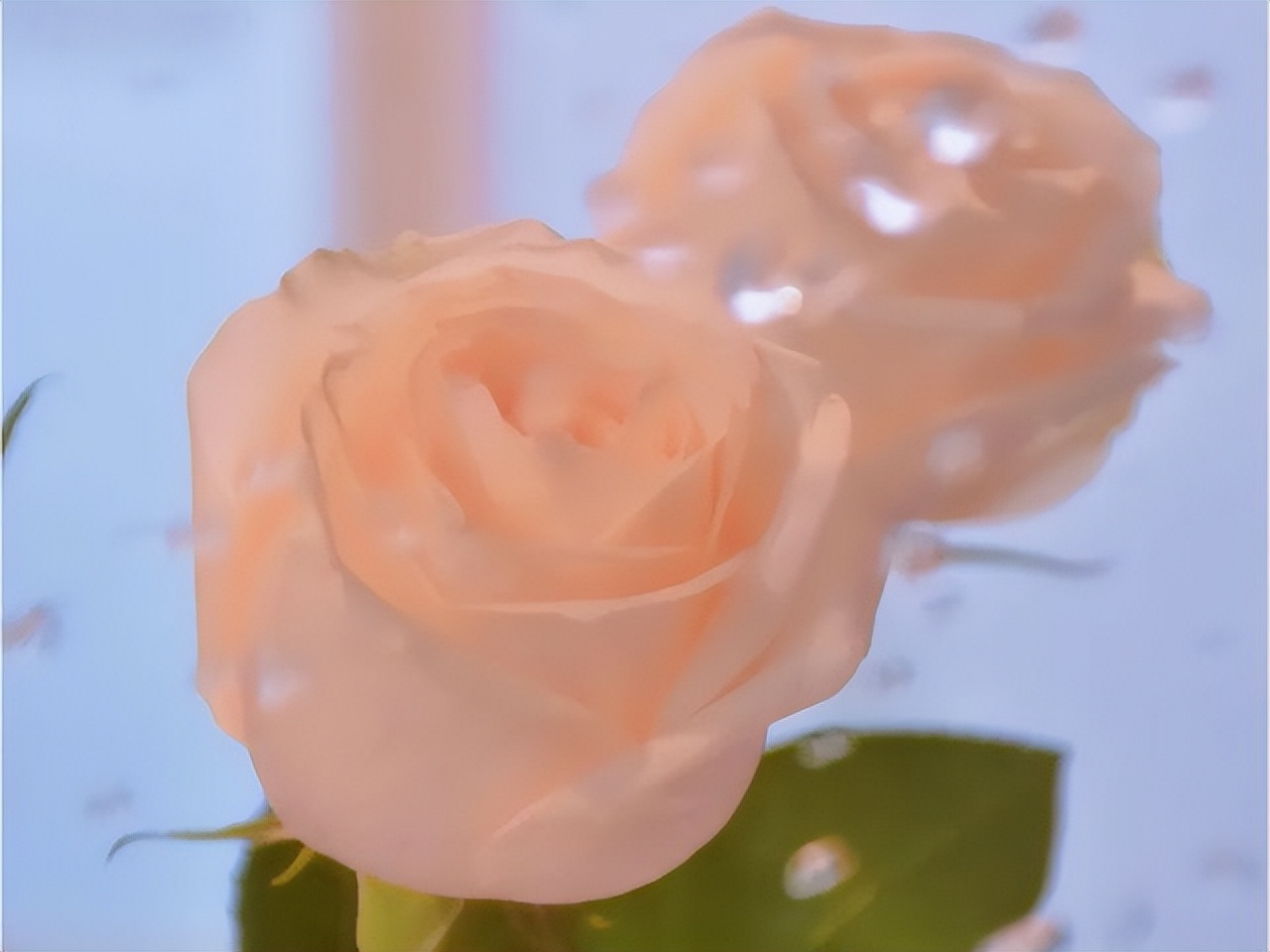 跟巨蟹座谈恋爱，需要掌握的几点相处法则？用温柔，对抗情绪化