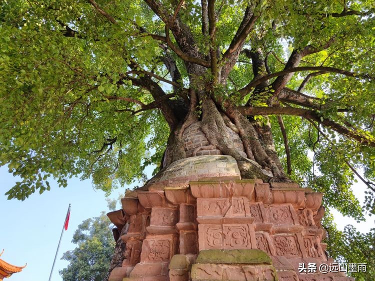 云南省普洱市景谷县,云南省普洱市景谷县永平镇邮政编码