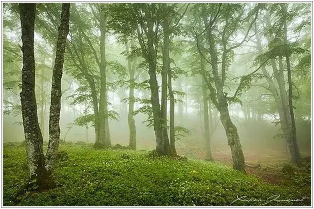 100个精美绝伦的风景