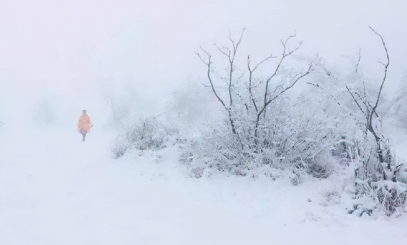 「原创诗词」管恩锋 | 若无瑞雪催春发 哪有千花焕彩颜（咏雪20首）