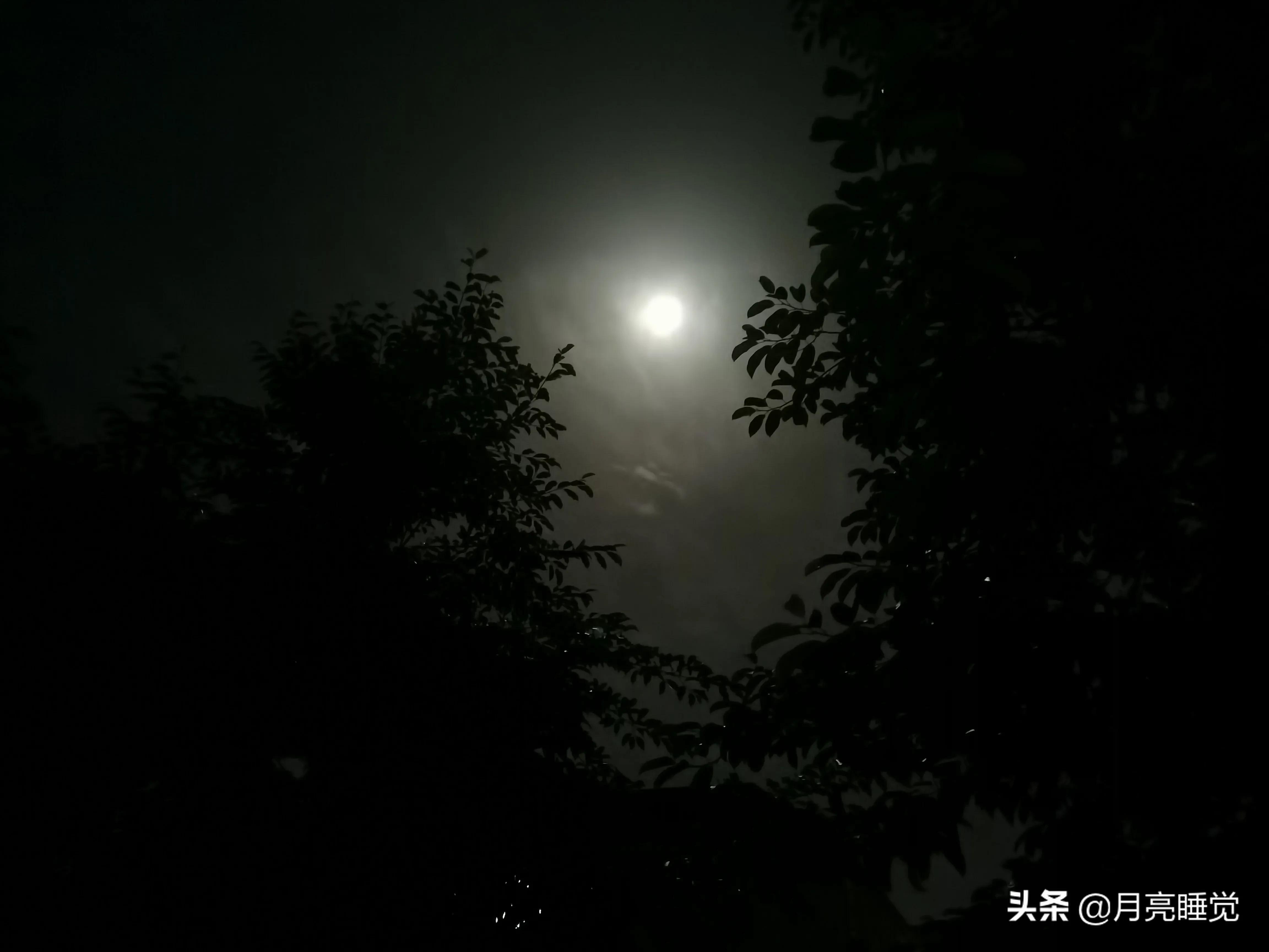 月亮浪漫文案短句
