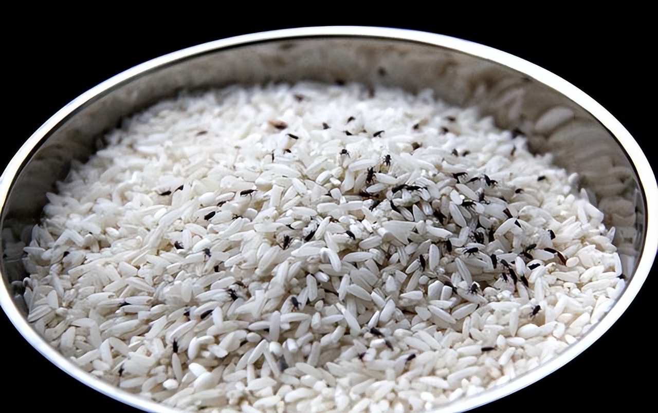 有人称：发黄的大米是毒大米，长期吃容易致癌？你家的大米安全吗