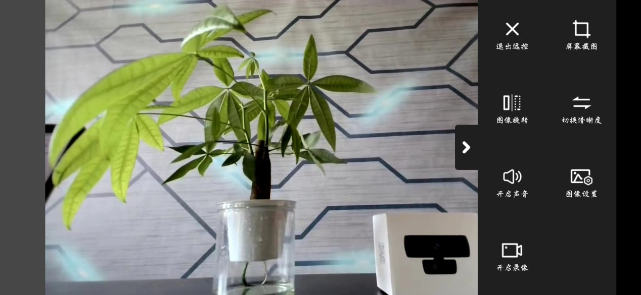 能够远程监控的电脑摄像头，向日葵这款USB远程摄像头有点意思