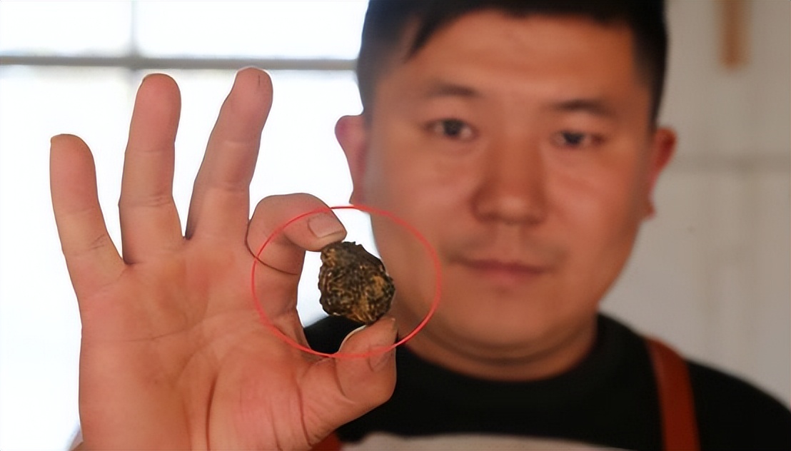 江苏一烧烤店发现5个"羊宝",395克价值200万,咋这么贵?