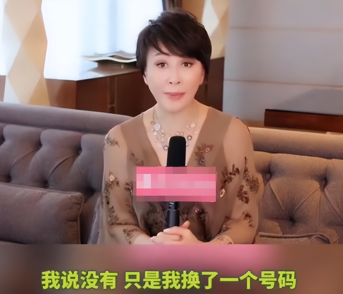 洁癖影后刘嘉玲：因舒淇重新装修厕所，不生娃却认康康当干儿子