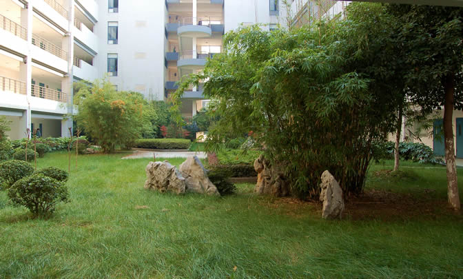 数字媒体艺术和动画专业强校，南京邮电大学2022年录取需要多少分