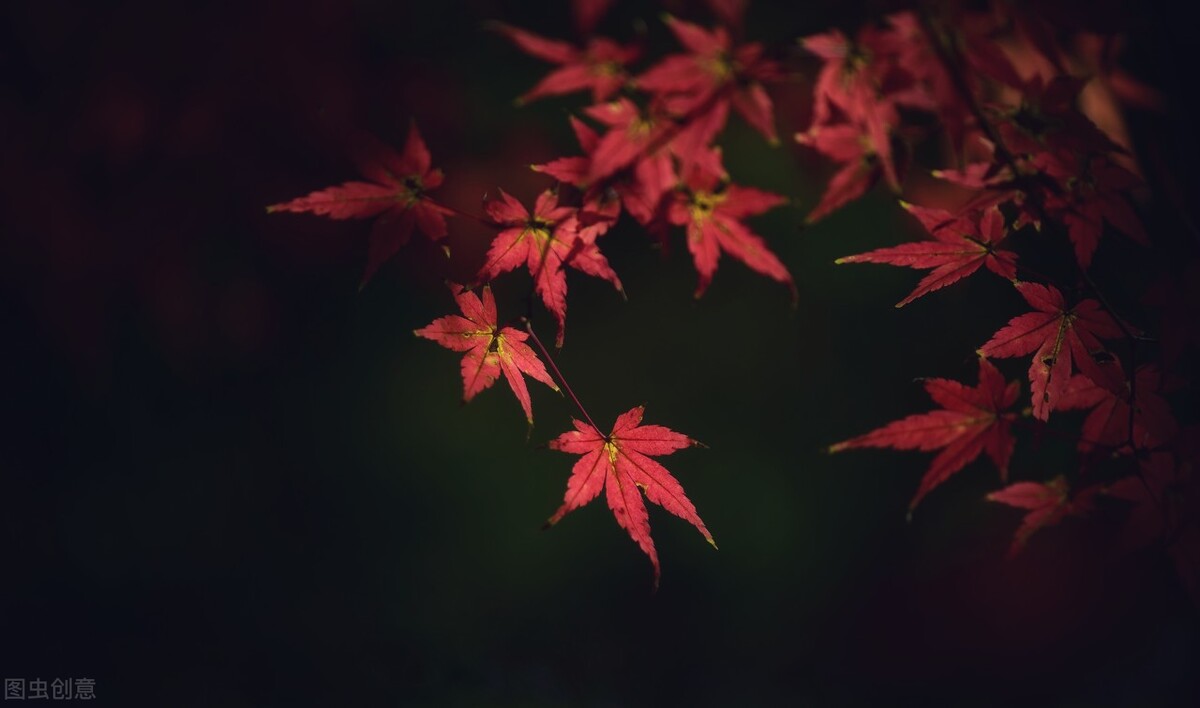 如若此生不复见，但许你朝朝暮暮都平安