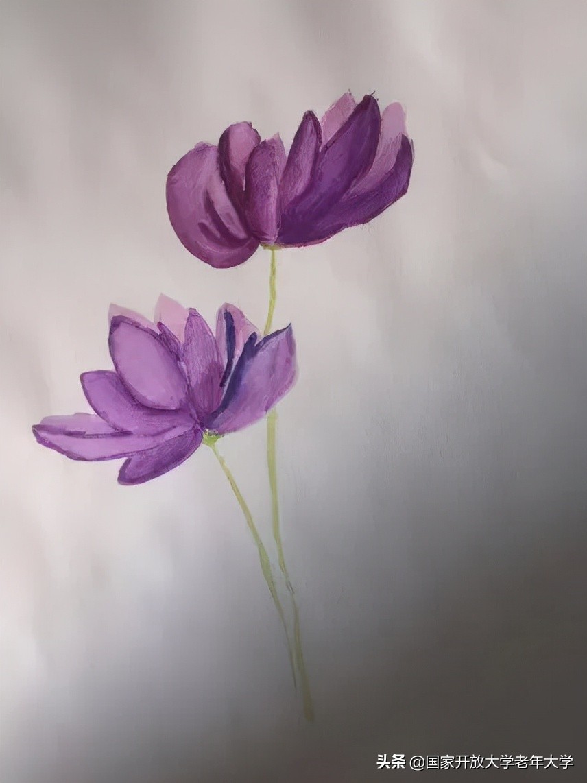 在校园·良作 | 水彩让我们的青春重新绽放——水彩画初级班学员作品