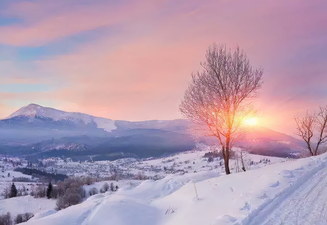 英文翻译中文春天的唯美句子(80句有关冬天的优美英文句子,温暖你一