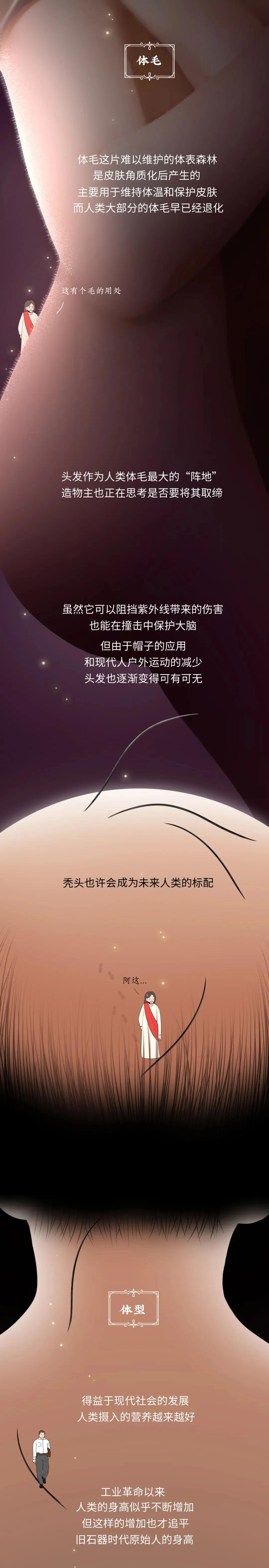 丁丁是怎么退化成今天这样的？