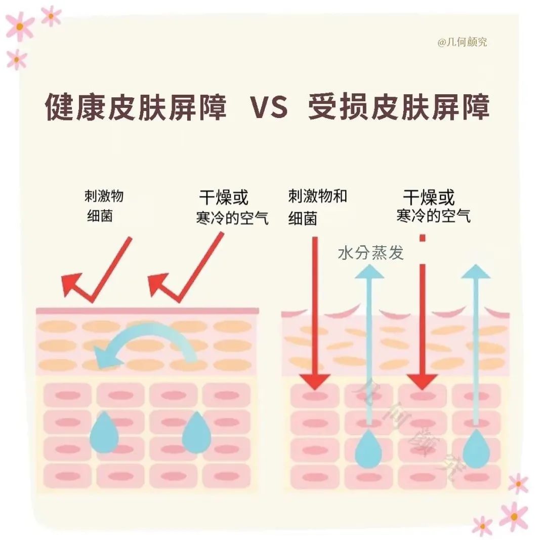 皮肤屏障功能｜受损的皮肤屏障该如何修复？