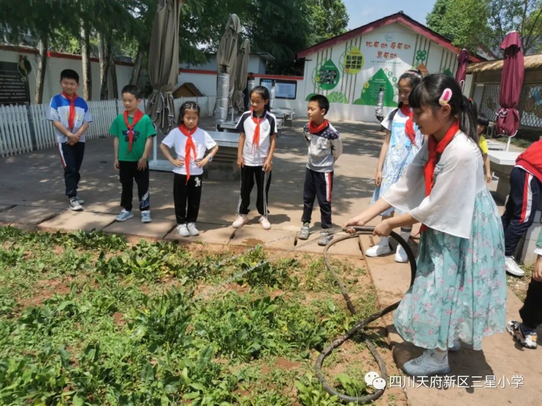 致敬最可爱的人——四川天府新区三星小学开展劳动实践周系列活动