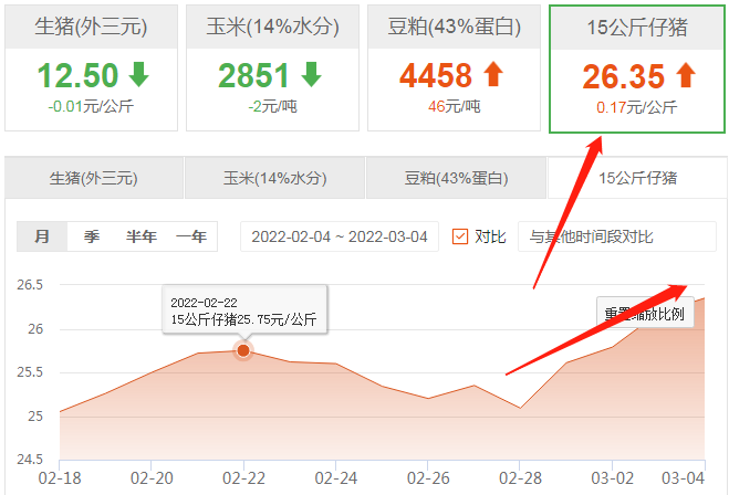 3月4日仔猪价格：仔猪接连上涨，猪市要回春？注意仍有风险