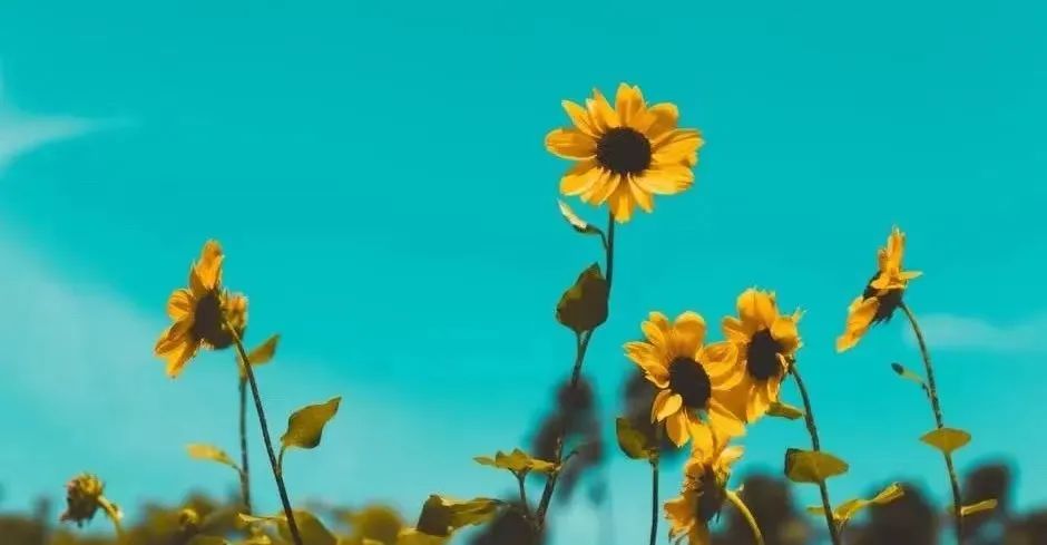 「80个梦想清单」，敢不敢用5年时间去实现？