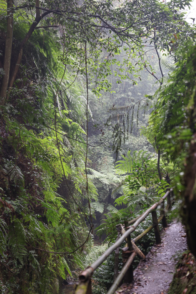 桫椤大峡谷藏在乐山山谷里的神仙峡谷实在是太美了