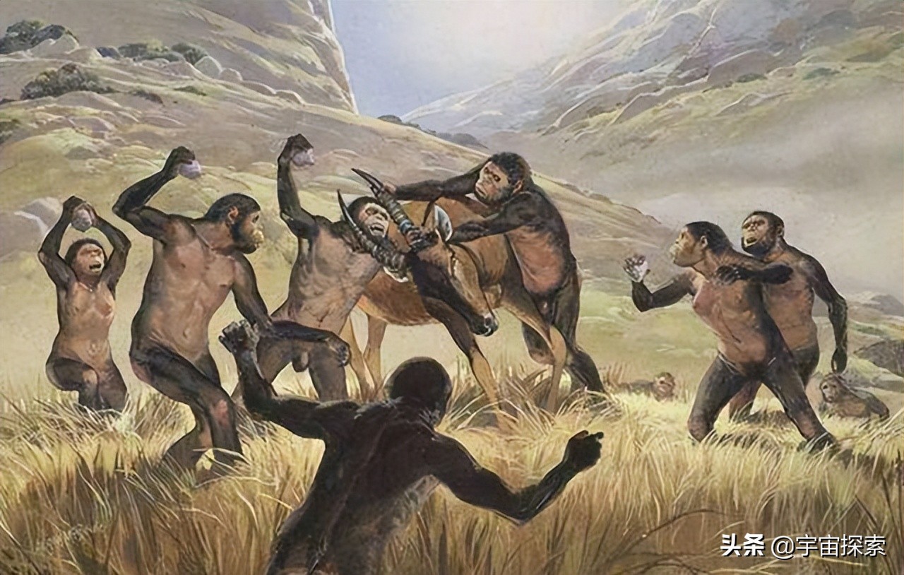 没有了森林的防护,生活在树上的猿类只有来到地上生活,而这对于猿人来